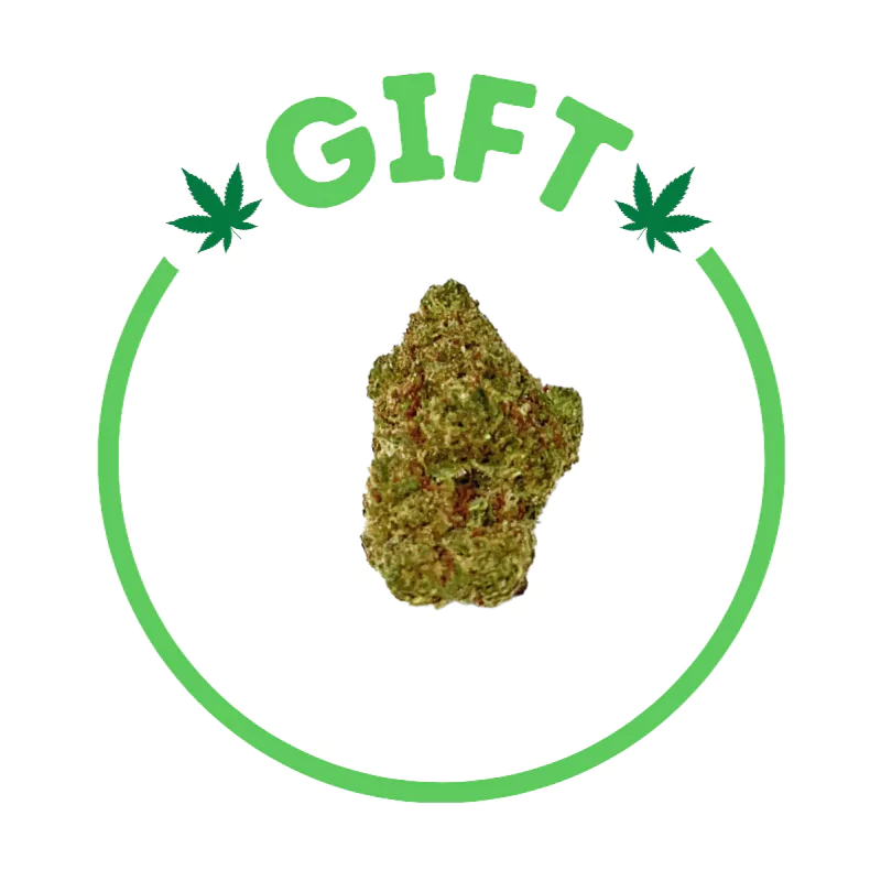 Giving Tree gifts Gush Mintz, an indica-dominant hybrid weed strain made from a genetic cross between Kush Mintz and the combination of F1 Durb and Gushers