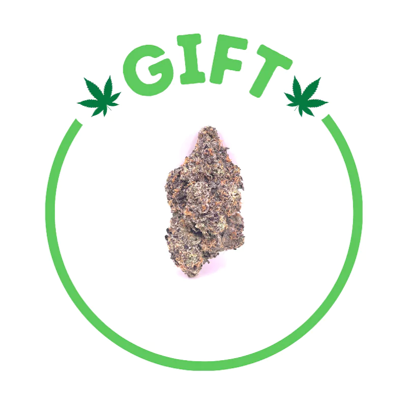 Giving Tree gifts RS11, also known as "RS-11" and "Rainbow Sherbert #11," it's a hybrid weed strain made by crossing Pink Guava with OZ Kush.
