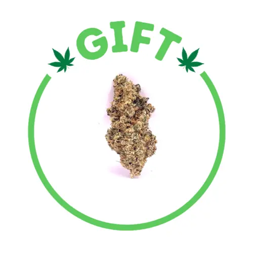 Giving Tree gifts Animal Cake, an Indica-dominant hybrid weed strain made from a genetic cross between Birthday Cake and Animal Cookies.