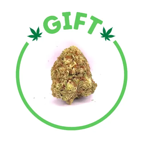 Giving Tree gifts Dirty Sprite Breath is a sativa hybrid weed strain made from a genetic cross between Mendo Breath and Lemon Tree.