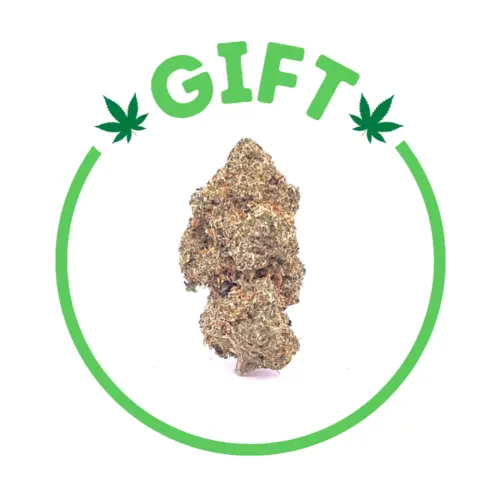 Giving Tree gifts Tahoe OG, also known as "Tahoe OG Kush," is the perfect rainy day marijuana strain.