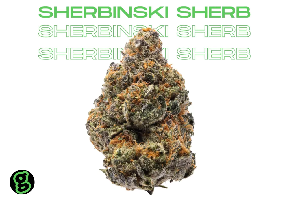 sherbinski-sherbert-strain-in-dc