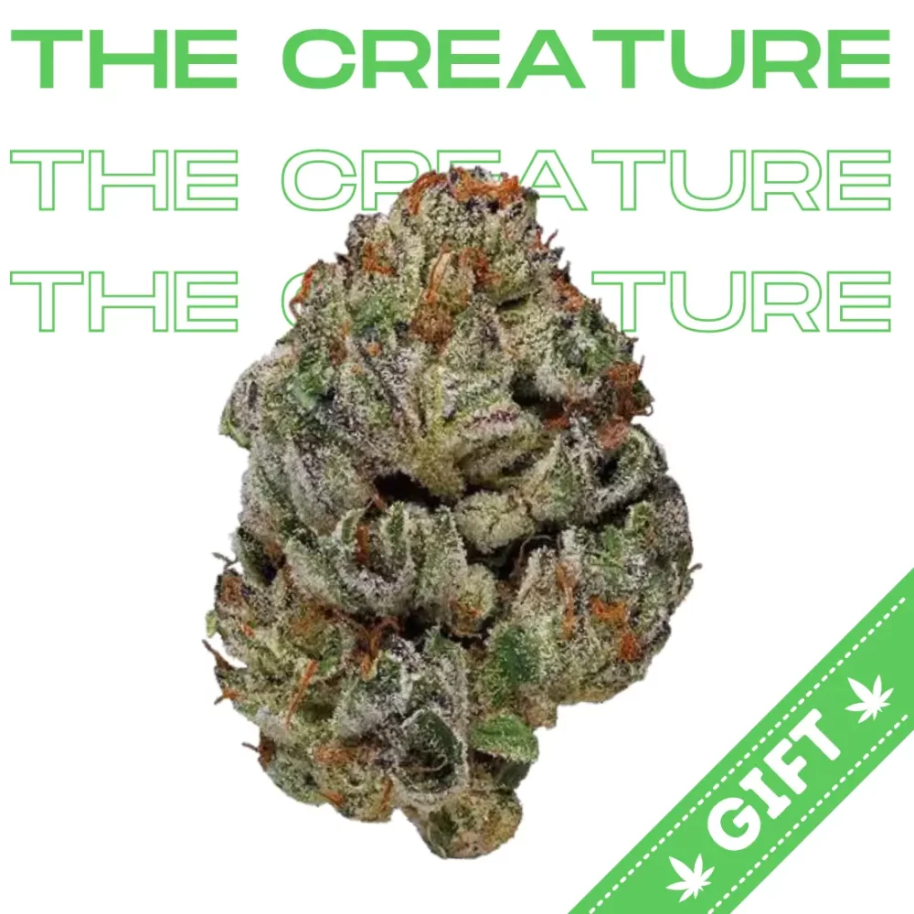 Giving Tree gifts The Creature, a sativa hybrid weed strain born from an enigmatic genetic cross of undisclosed parentage. With a genetic makeup of 75% sativa and 25% indica
