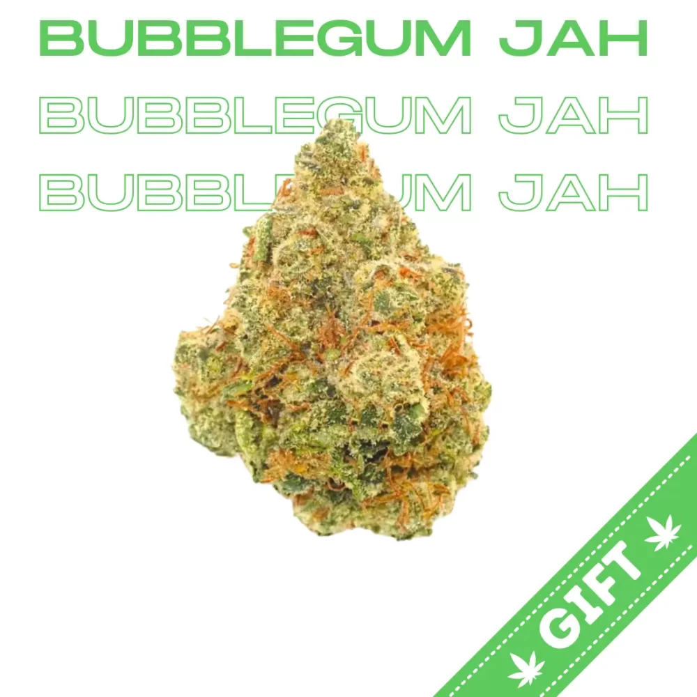 Giving Tree gifts Bubblegum Jah, a unique sativa hybrid strain of cannabis that is created by crossing Purple Haze with a Purple Urkle.