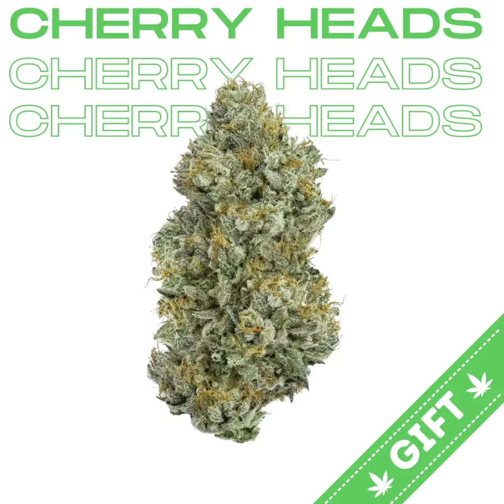 Giving Tree gifts Cherry Heads, an indica hybrid strain born from the marriage of Cherry Wine and Headband genetics