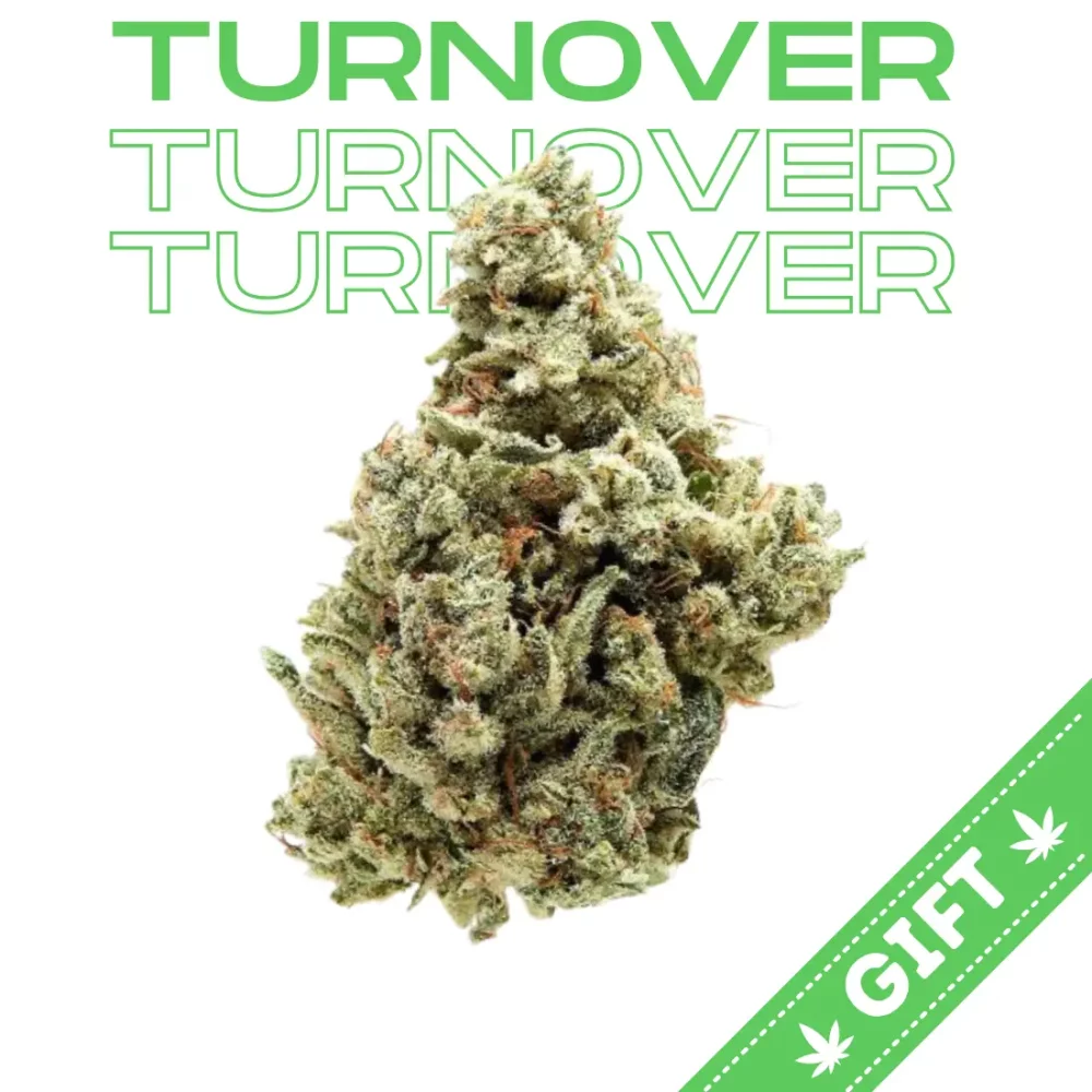Giving Tree gifts Turnover, an indica hybrid strain bred by Cannarado. It's a cross of Wedding Cake and Apple Juice.