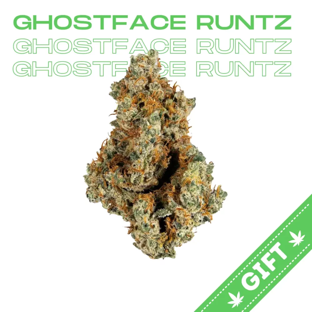 Giving Tree gifts Ghostface Runtz, a unique hybrid strain of cannabis that is created by crossing White Runtz and Geistgrow OG