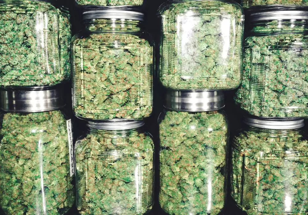 how-to-store-cannabis