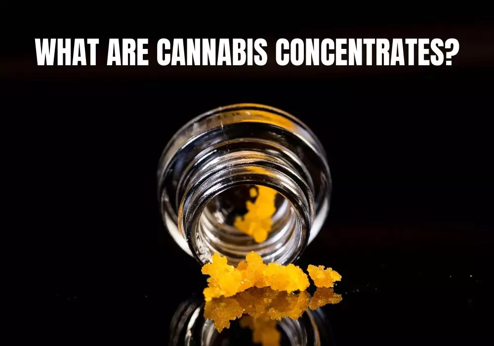 what-are-cannabis-concentrates