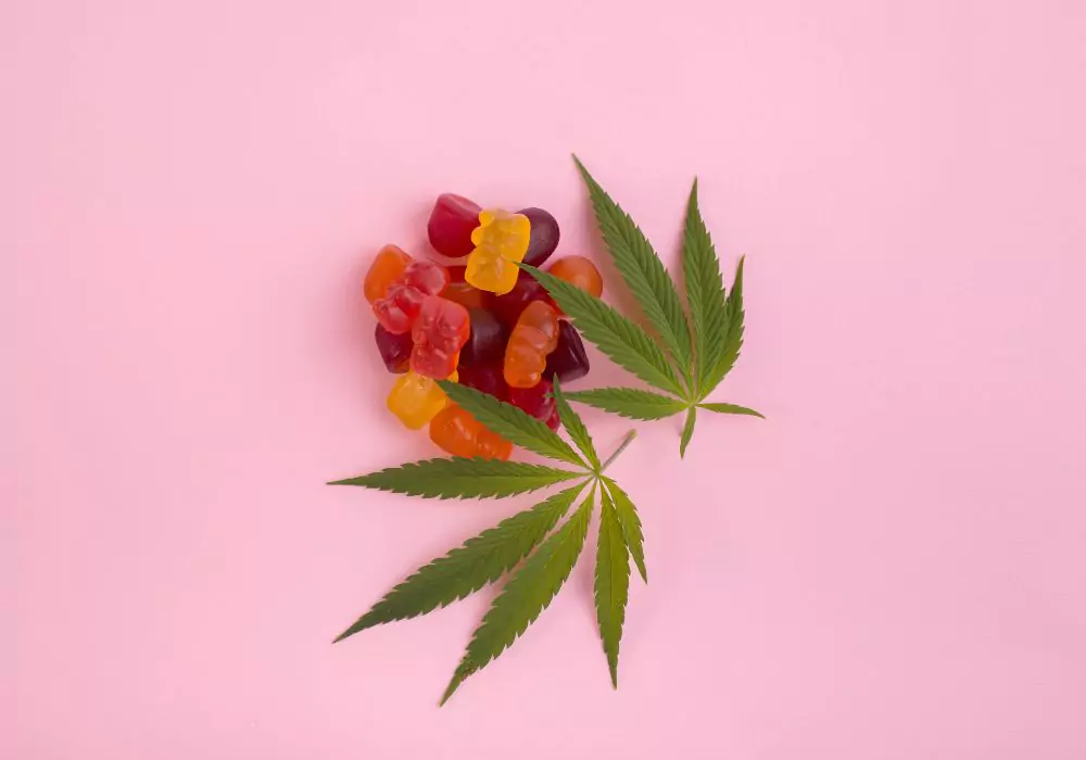 where-to-buy-cannabis-edibles-in-dc