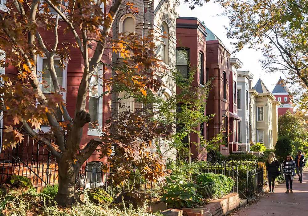 h-street-giving-tree-dc