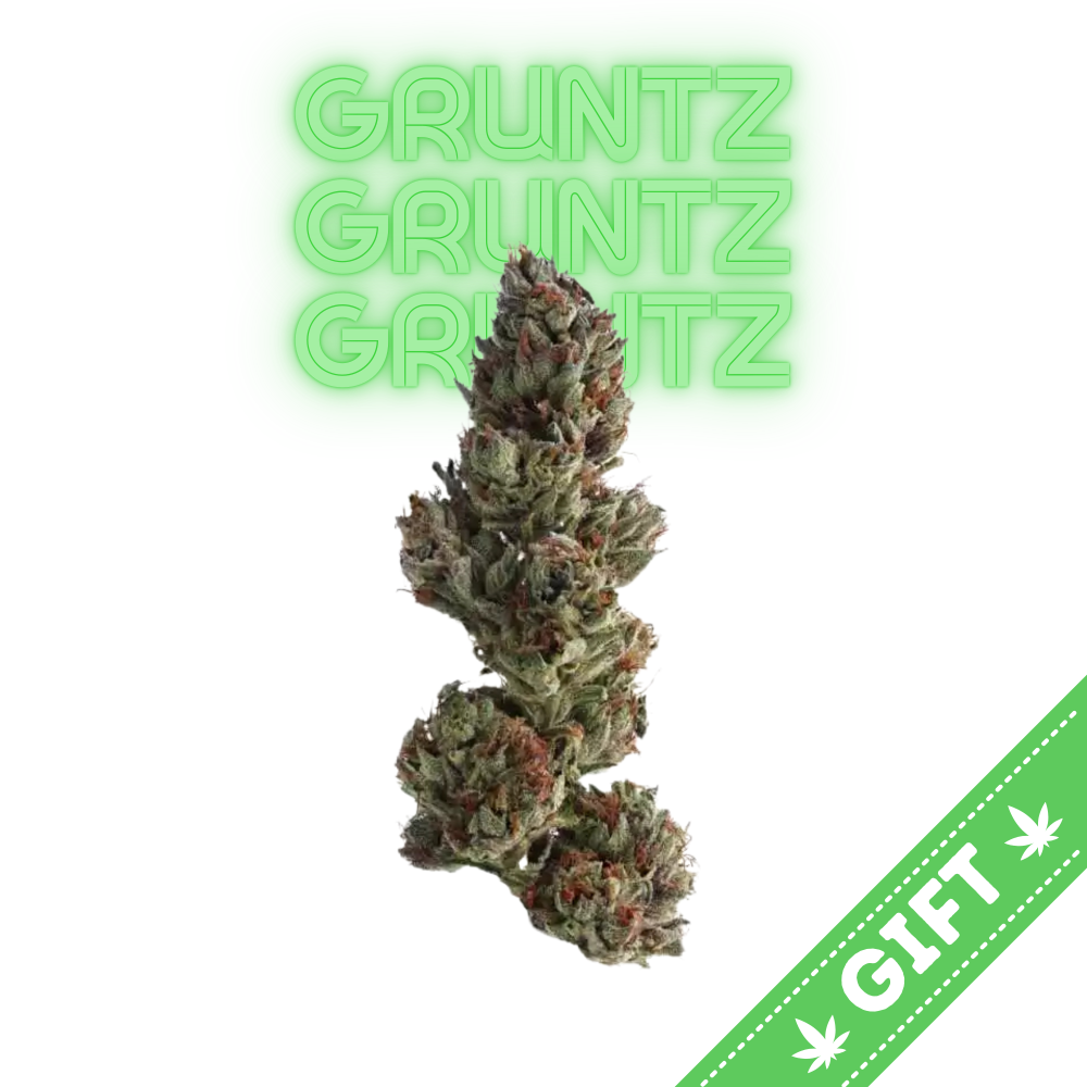 Giving Tree gifts Gruntz, a hybrid weed strain made by crossing Gelato with Zkittlez.