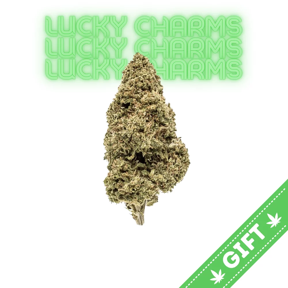 Giving Tree gifts Lucky Charms, an indica hybrid strain that has quickly become a favorite among cannabis enthusiasts.